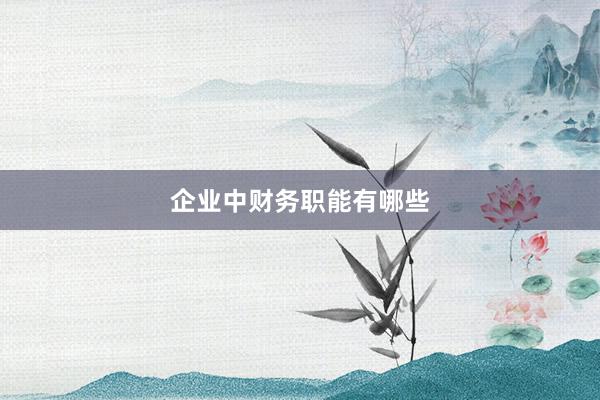 企业中财务职能有哪些
